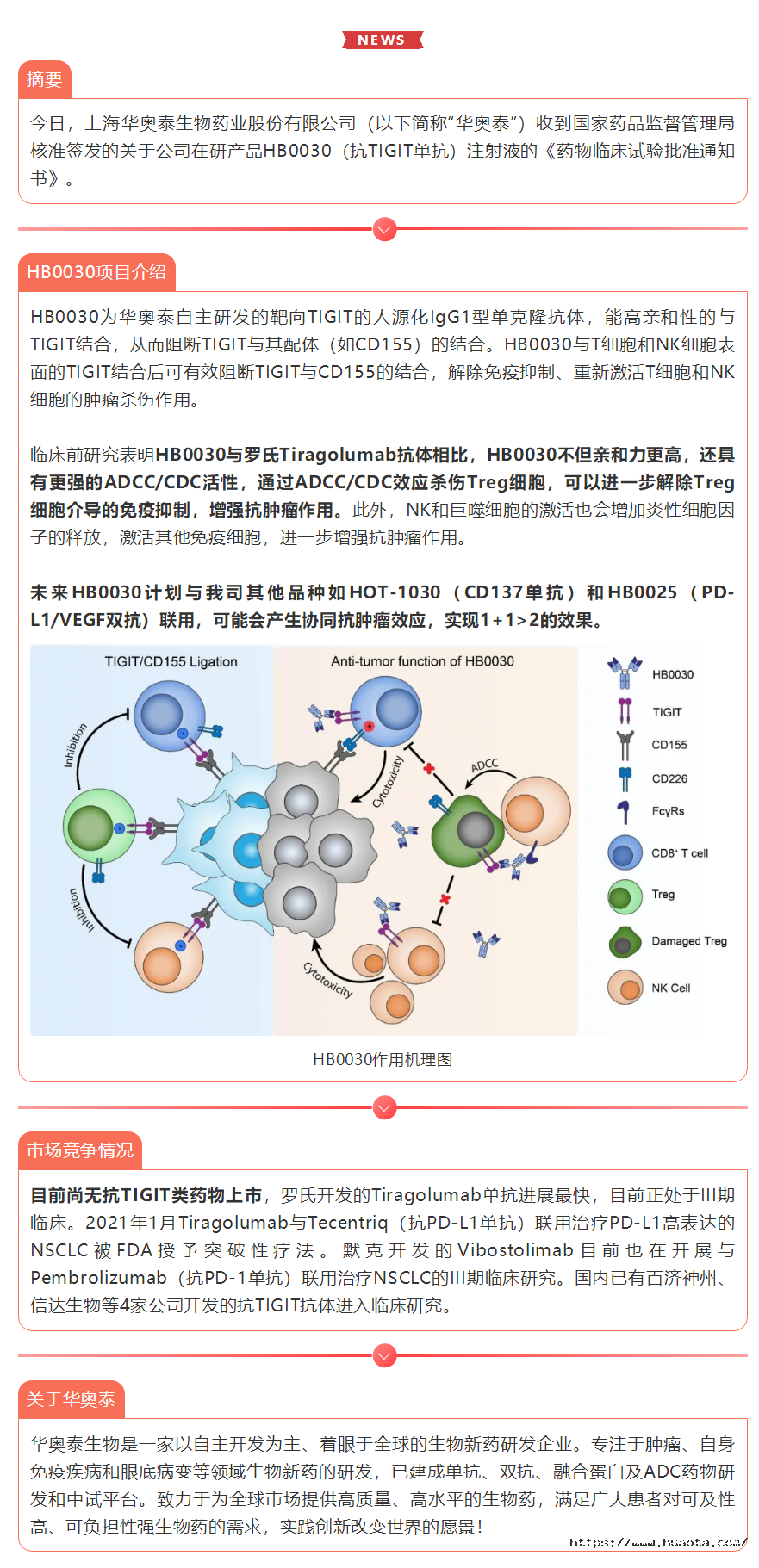 祝贺ag旗舰厅官网生物TIGIT单抗获批临床.png